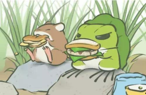 娱乐可爱蛙吃瓜,欢乐无限秀萌态